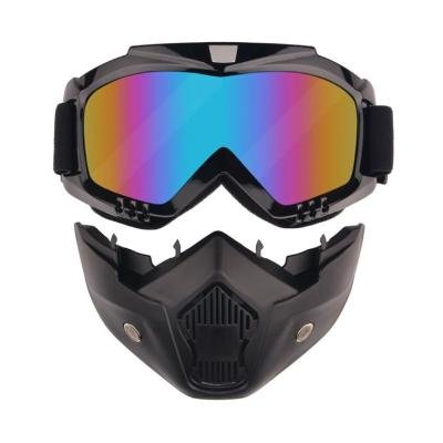 Goggles+Face Mask